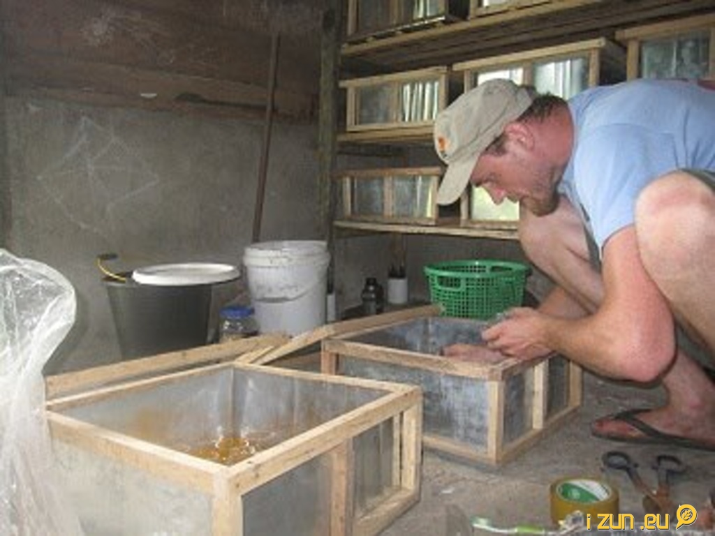 odchovna hmyzu odchovna hmyzu